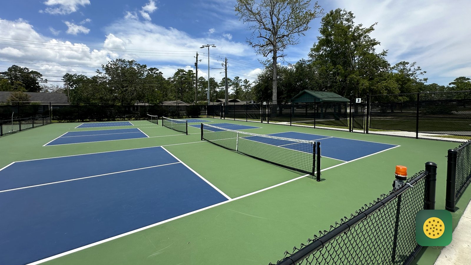 Pickleball rules you actually need for your first game