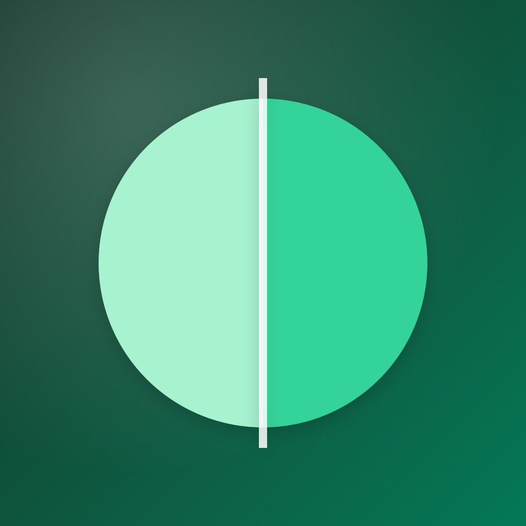 Borderpay icon