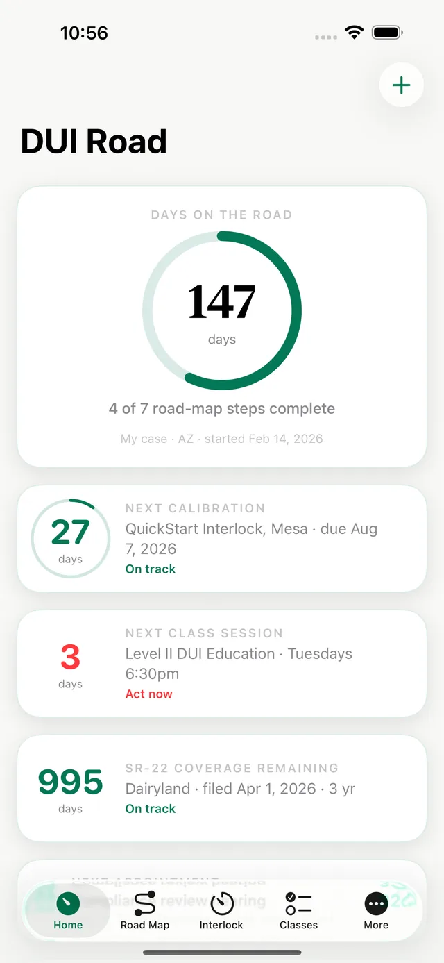 DUI Road screenshot 3