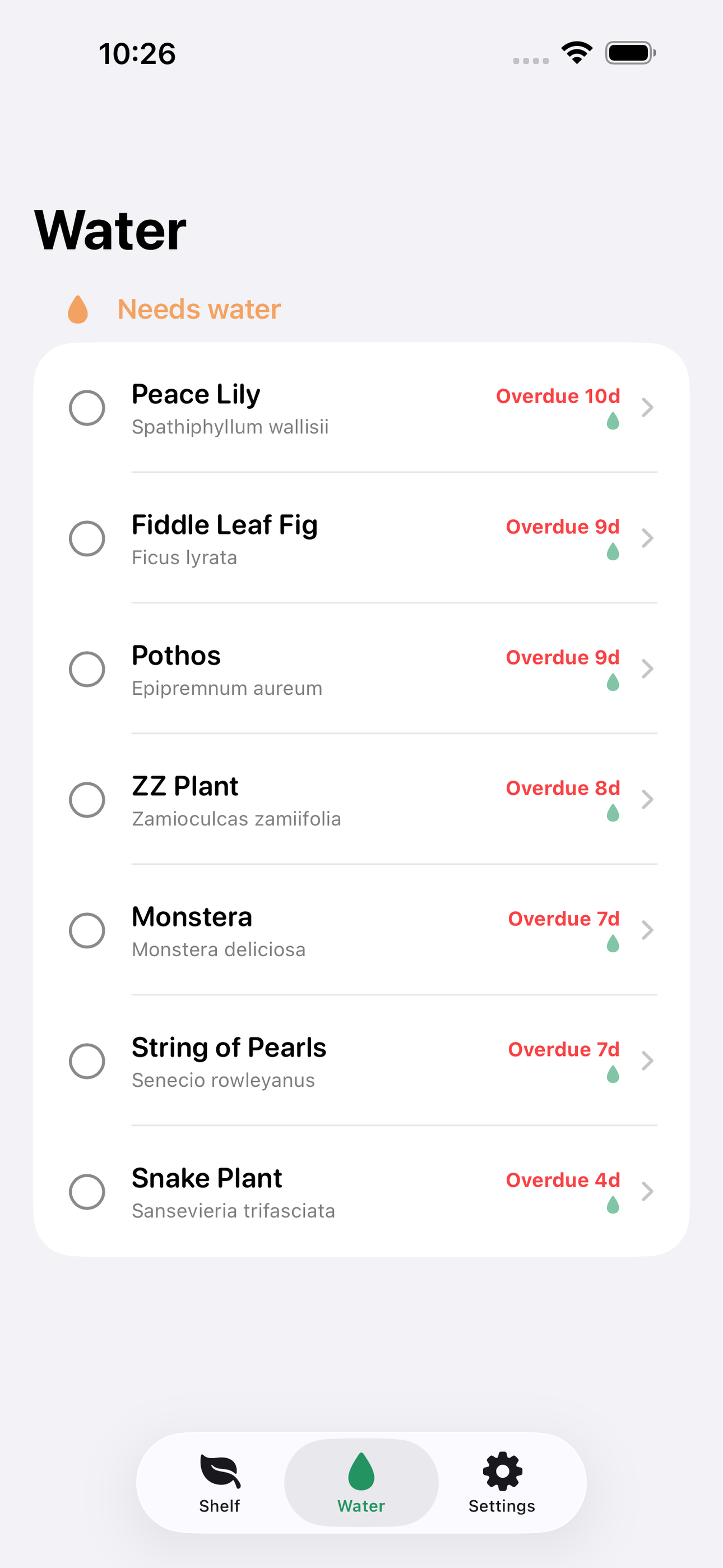 Frond screenshot 5 of 8