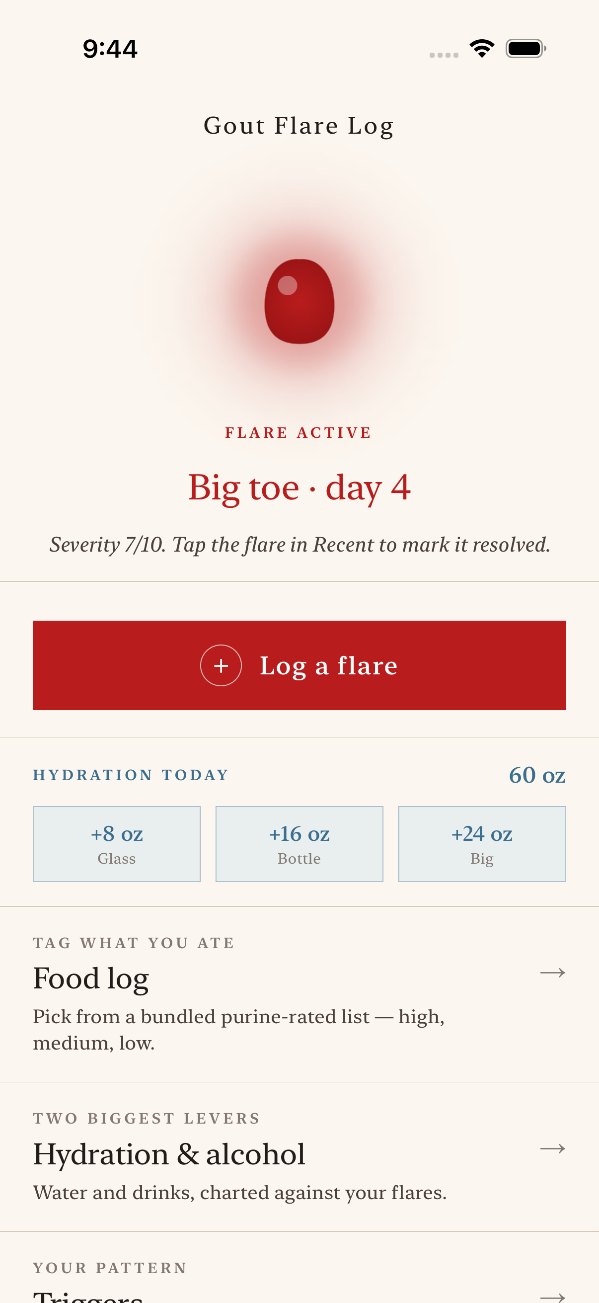 Gout Flare Log screenshot 1 of 6