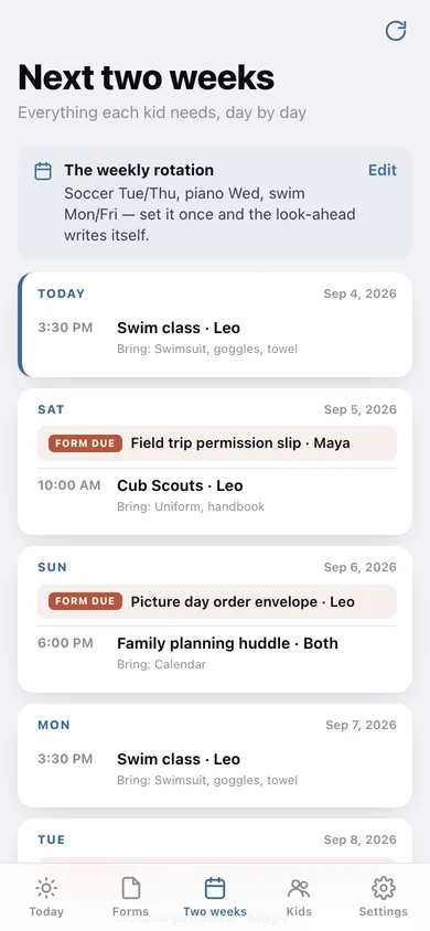 Brainfold web app — screen 2