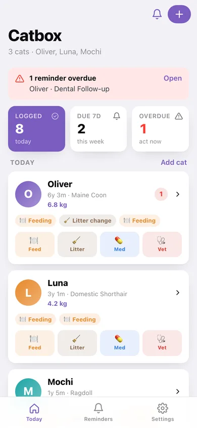 Catbox web app — screen 1