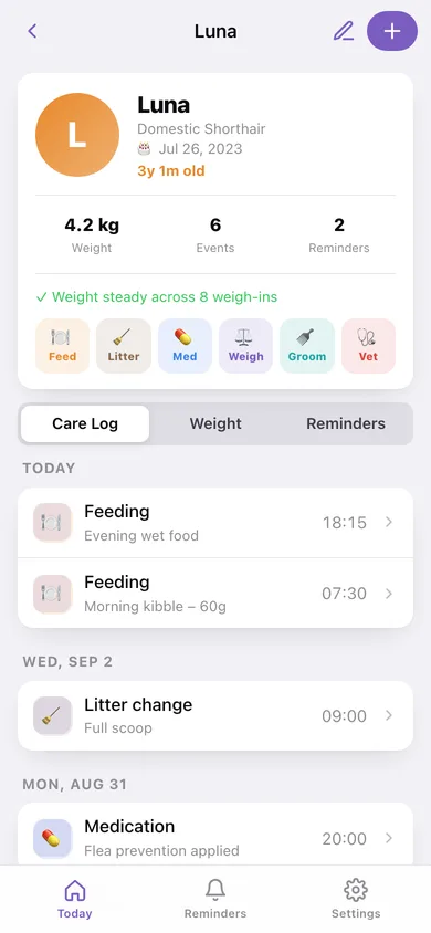 Catbox web app — screen 2