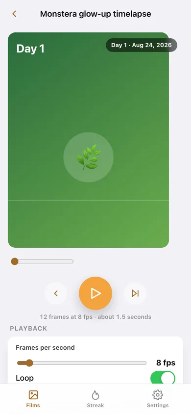 GhostFrame web app — screen 3