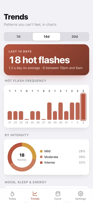 Ember Log web app — screen 2