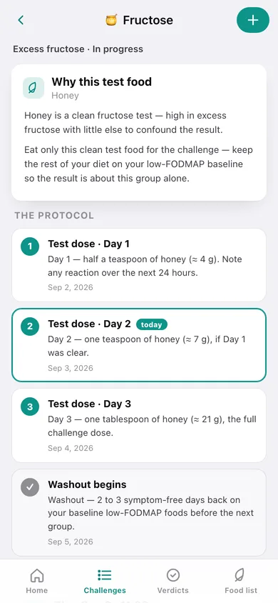 FODMAP Detective web app — screen 2