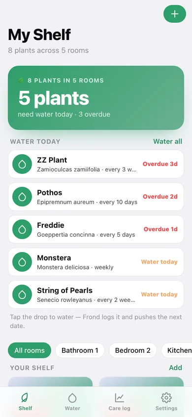 Frond web app — screen 1