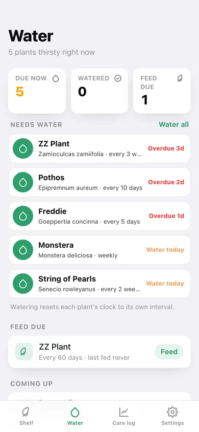 Frond web app — screen 2