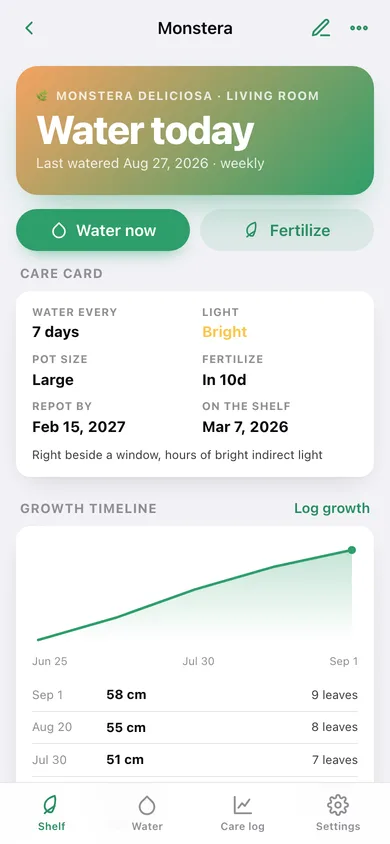 Frond web app — screen 3