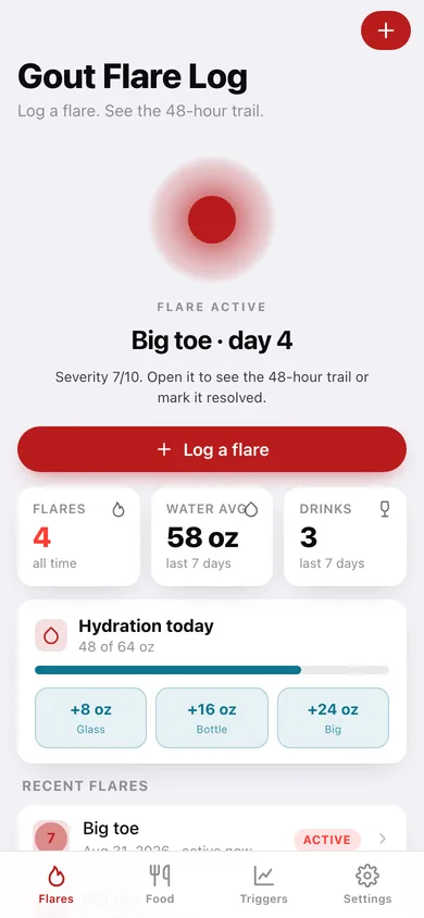 Gout Flare Log web app — screen 1
