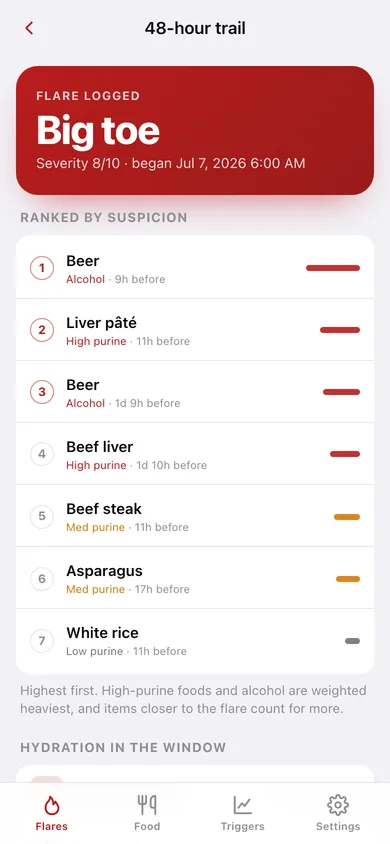Gout Flare Log web app — screen 2