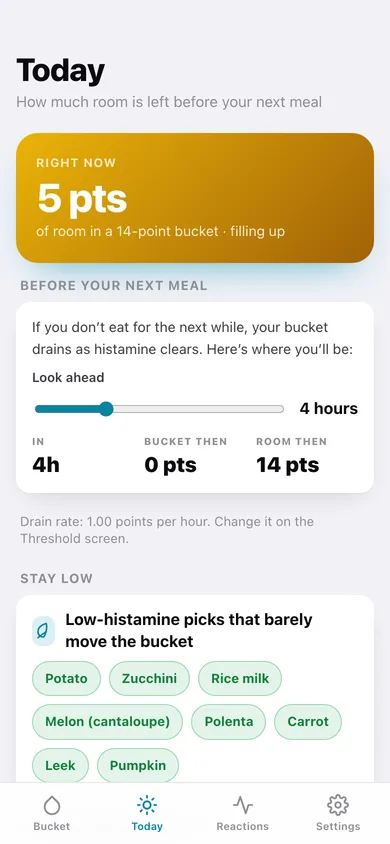 Histamine Bucket web app — screen 2