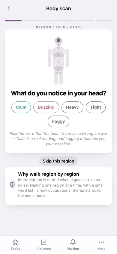 InnerSense web app — screen 2