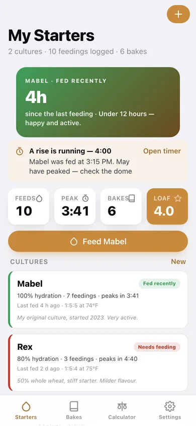 Levain web app — screen 1