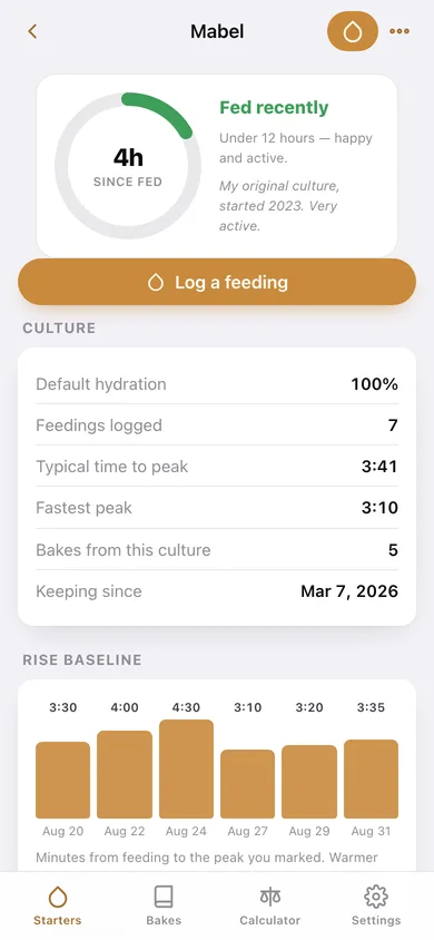 Levain web app — screen 2