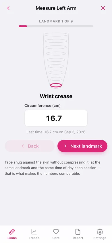 LimbTape web app — screen 2