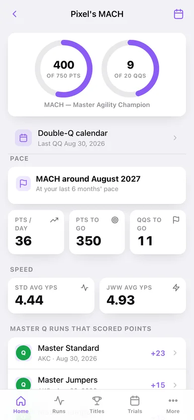 MACHbook web app — screen 2