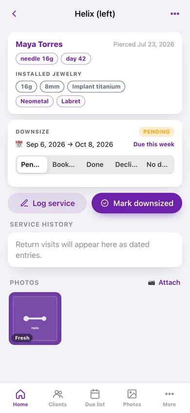 PierceBook web app — screen 2