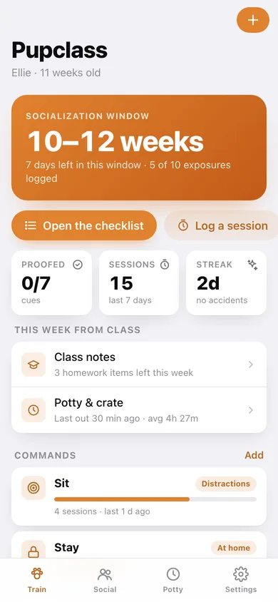 Pupclass web app — screen 1