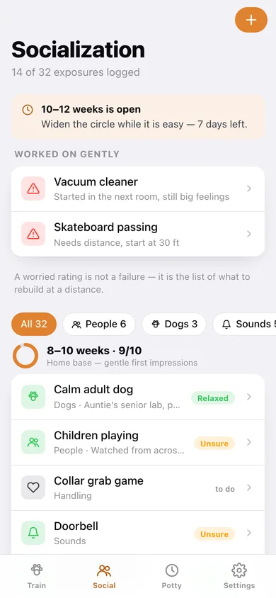 Pupclass web app — screen 2