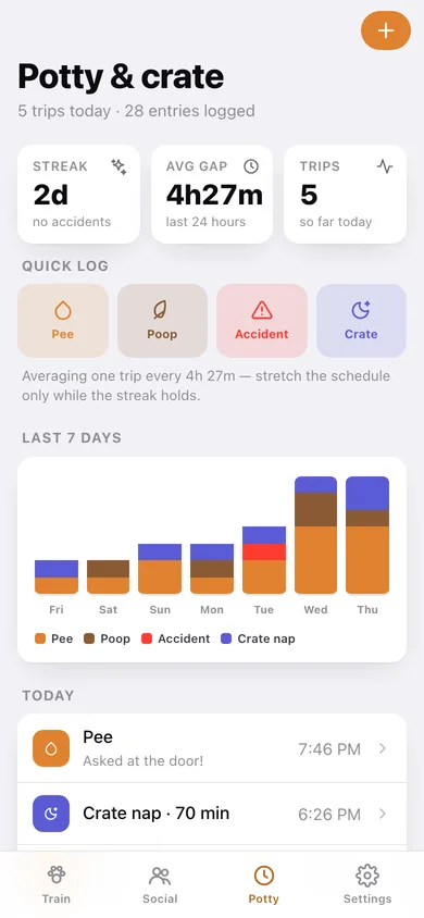 Pupclass web app — screen 3