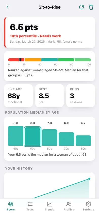 RiseScore web app — screen 3