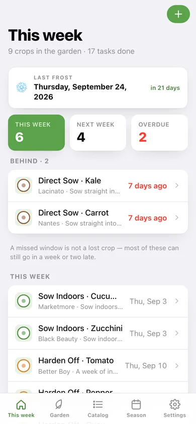 Seedstart web app — screen 1