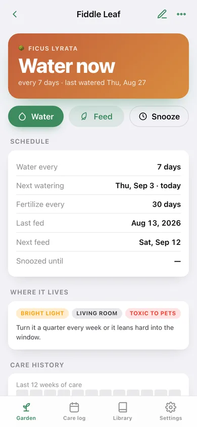 Sprout web app — screen 2