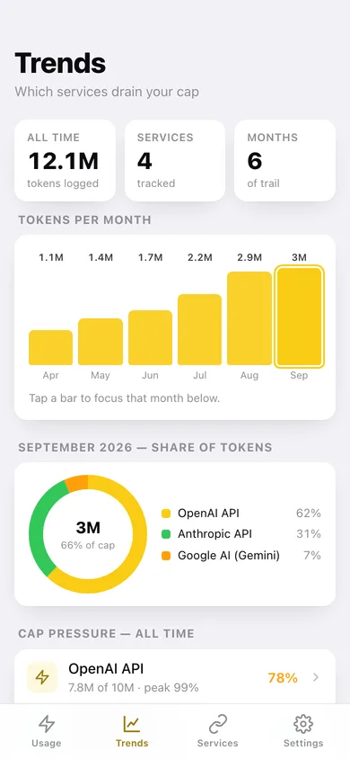 Tokensaver web app — screen 3