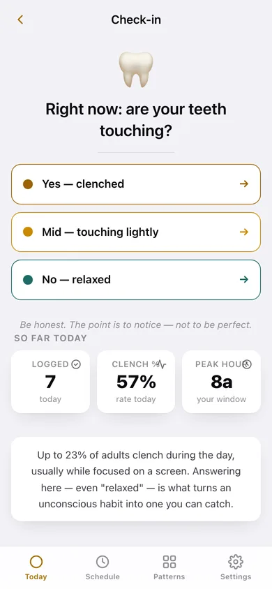 Unclench web app — screen 2