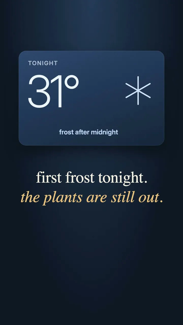 First frost checklist for plant people