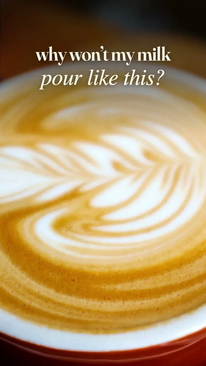 Steamed milk for a latte at home
