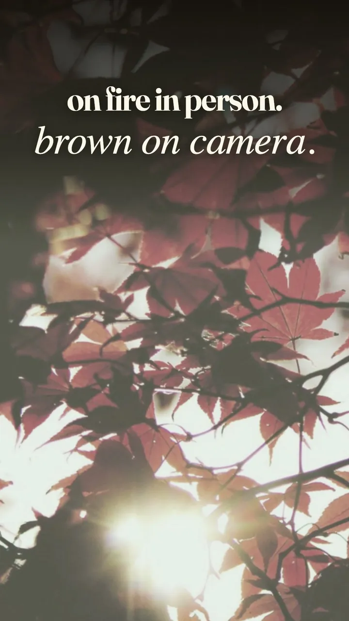 Fall color photos on your phone